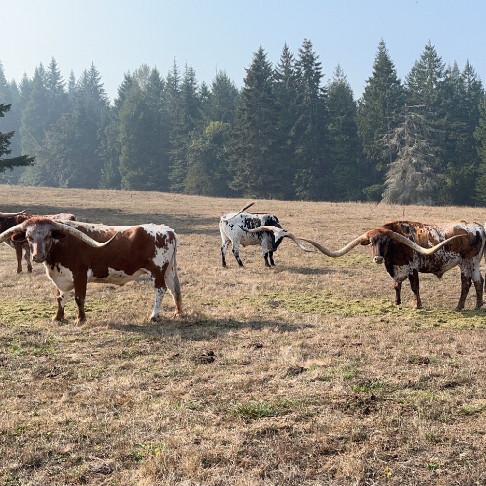 Meet your Posher, Brenna